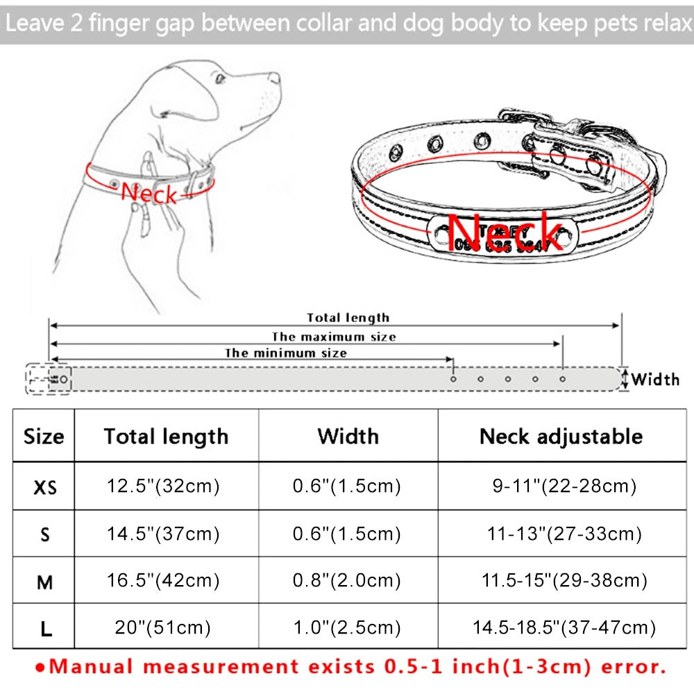 Hundehalsband Leder mit Namensschild - Gravur, gepolstert