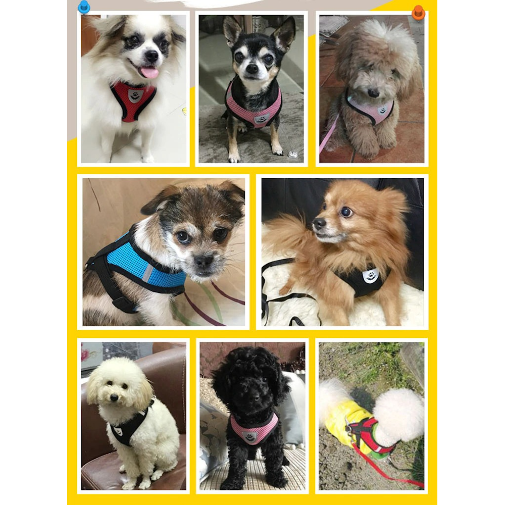 Reflektierendes Hundegeschirr mit Leine im Set, Ansicht 9
