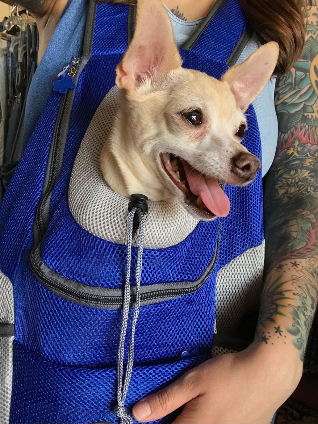 Hunderucksack - Transportrucksack Tragetasche für kleine Hunde