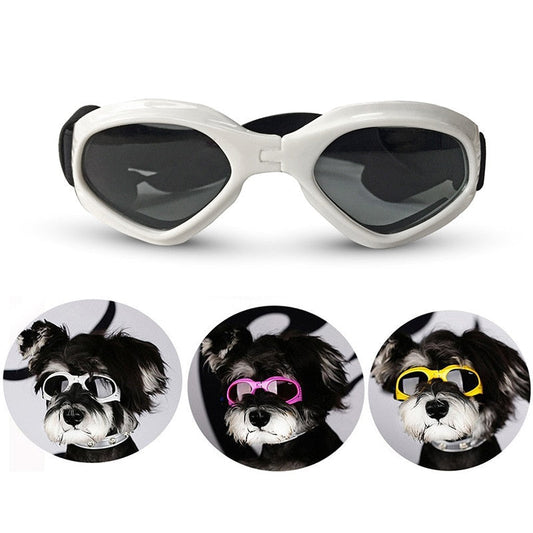 Sonnenbrille für kleine Hunde