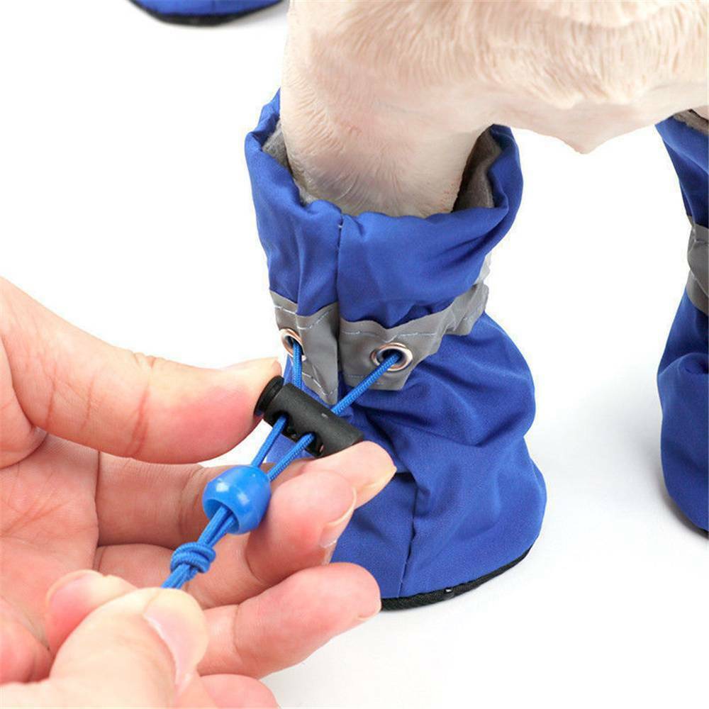 Hundeschuhe als Pfotenschutz, 4er Set in Blau