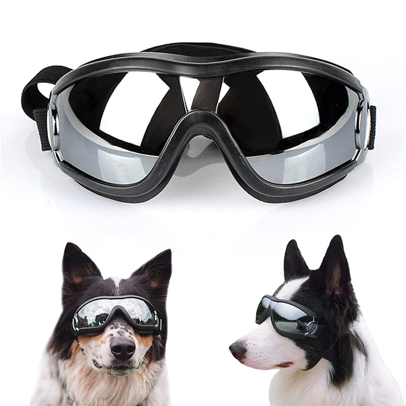 Hundebrille mit UV Schutz, Schutzbrille für Hunde