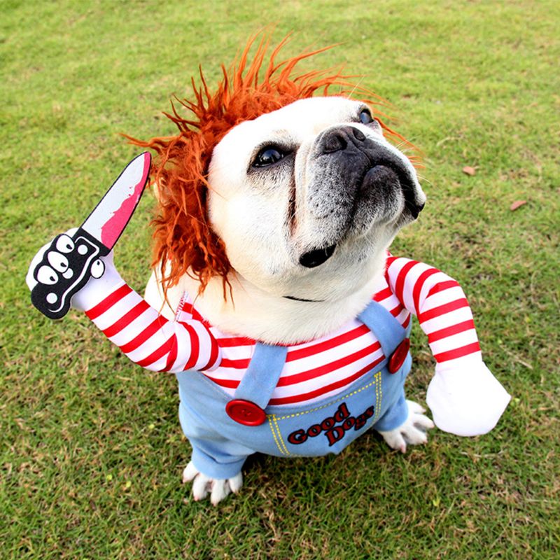 Halloween Kostüm für Hunde, Puppe mit Perücke