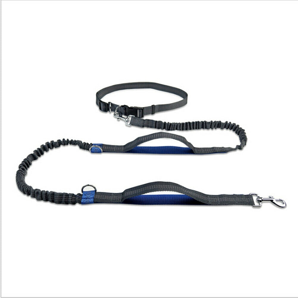 Joggingleine mit Bauchgurt für Hunde in Blau