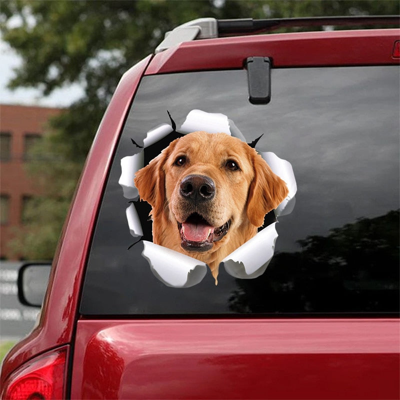 Realistischer 3D Hunde Aufkleber, Ansicht 5