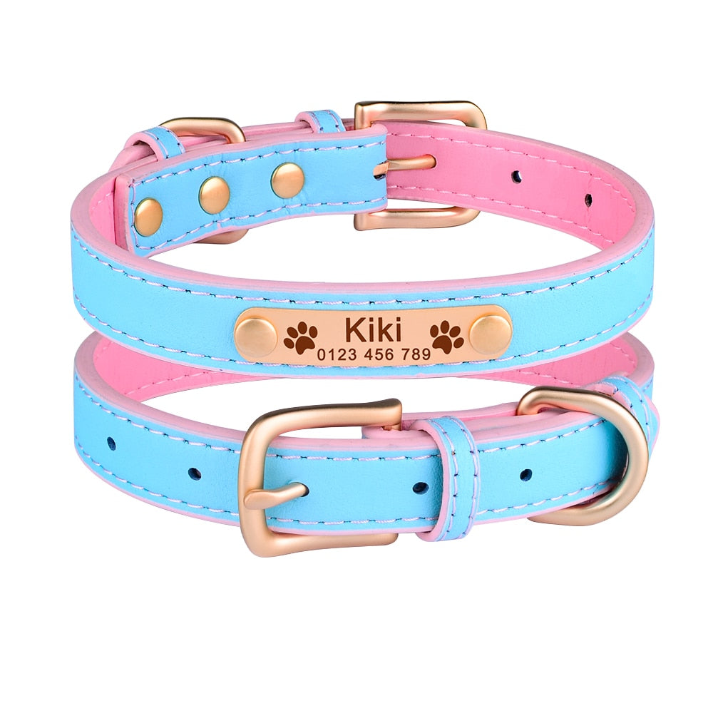 Hundehalsband Leder mit Namensschild - Gravur, gepolstert