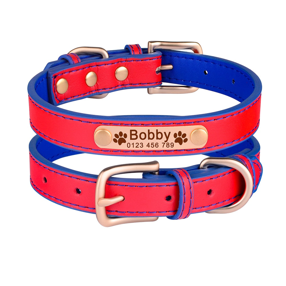 Hundehalsband Leder mit Namensschild - Gravur, gepolstert