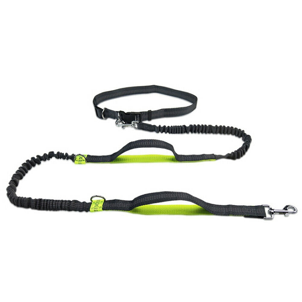 Joggingleine mit Bauchgurt für Hunde in Grün