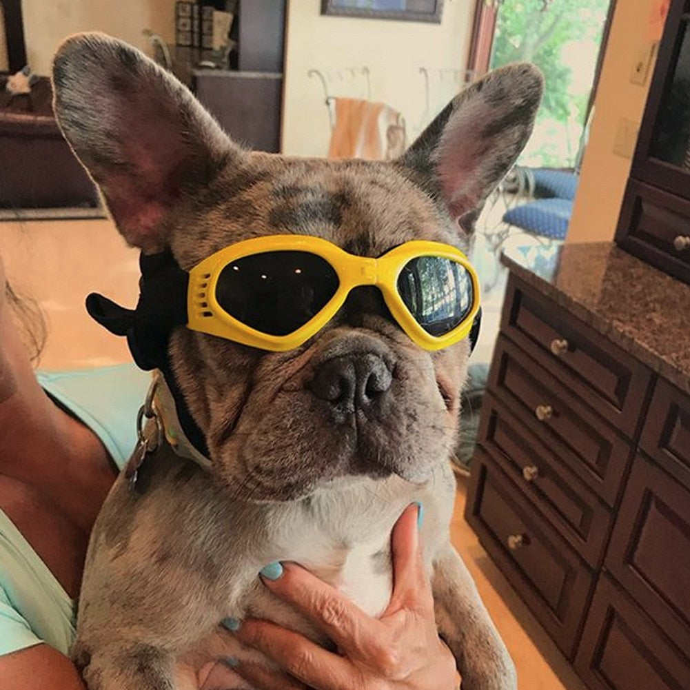 Sonnenbrille für kleine Hunde, Ansicht 2