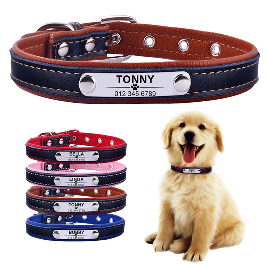 Gepolstertes Hundehalsband aus Leder mit Namensschild