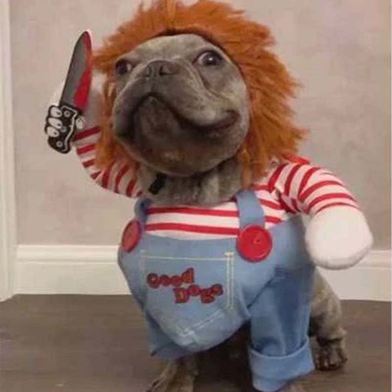 Halloween Kostüm für Hunde, Puppe mit Perücke, Ansicht 5