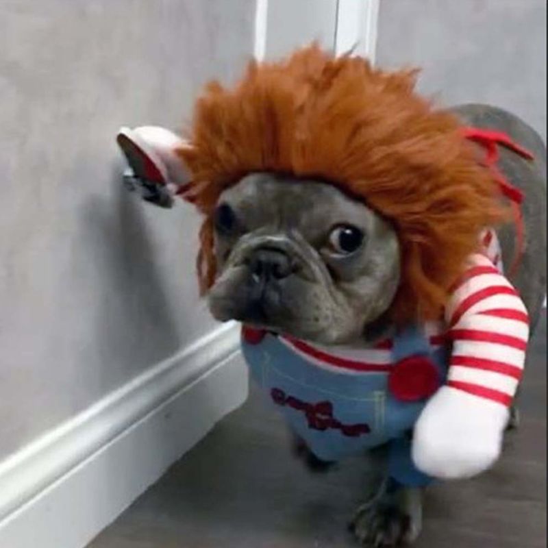 Halloween Kostüm für Hunde, Puppe mit Perücke, Ansicht 4