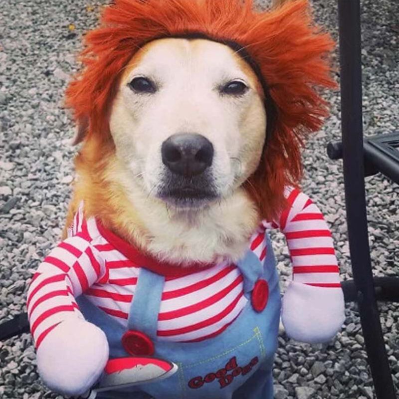 Halloween Kostüm für Hunde, Puppe mit Perücke, Ansicht 6