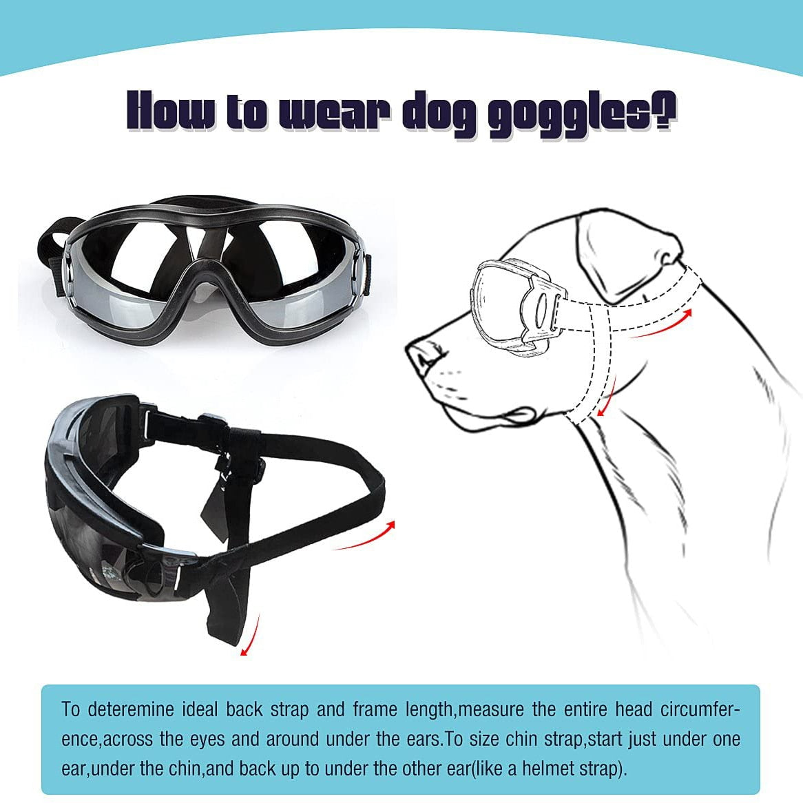 Hundebrille mit UV Schutz, Schutzbrille für Hunde, Ansicht 3