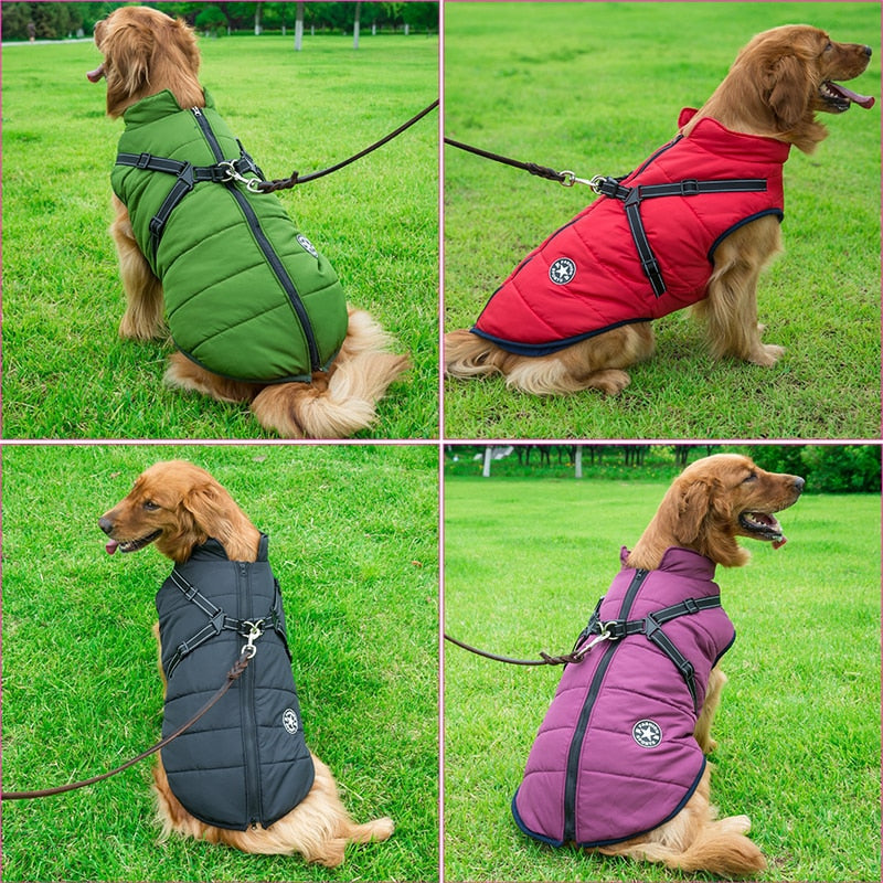 Gefütterter Hundemantel mit Geschirr für den Winter, Ansicht 2