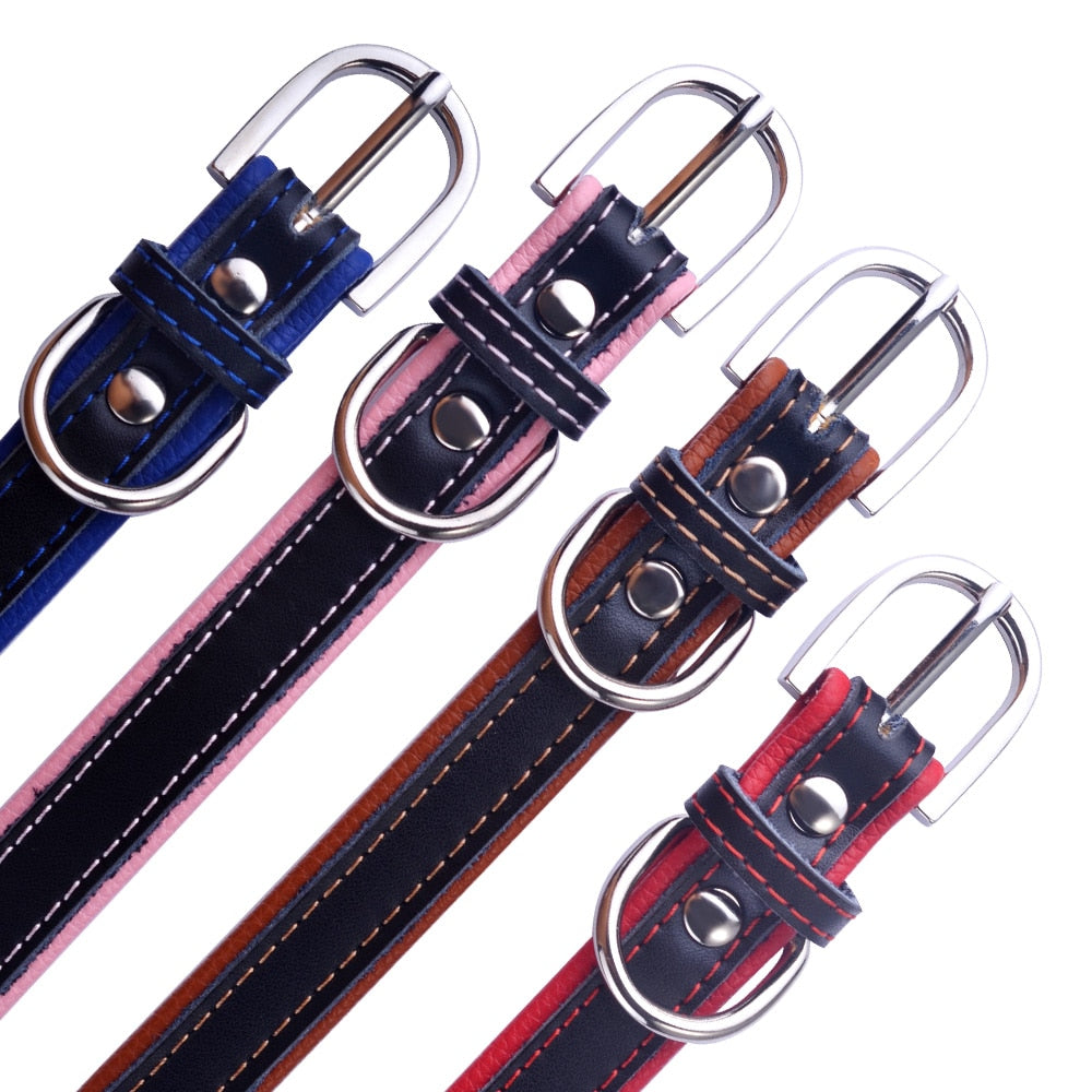Hundehalsband Leder mit Namensschild - Gravur, gepolstert