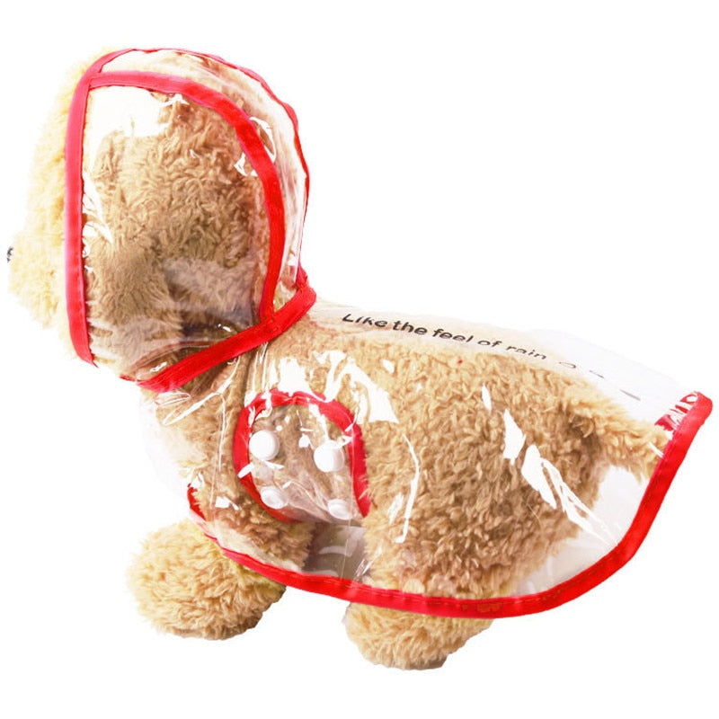 Transparenter Hunderegenmantel mit Kapuze in Rot