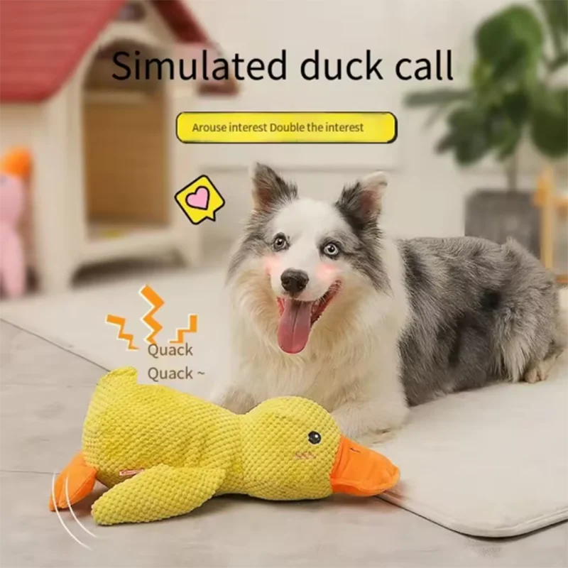 Kuschel Ente für Hunde - Plüschspielzeug zum Kuscheln