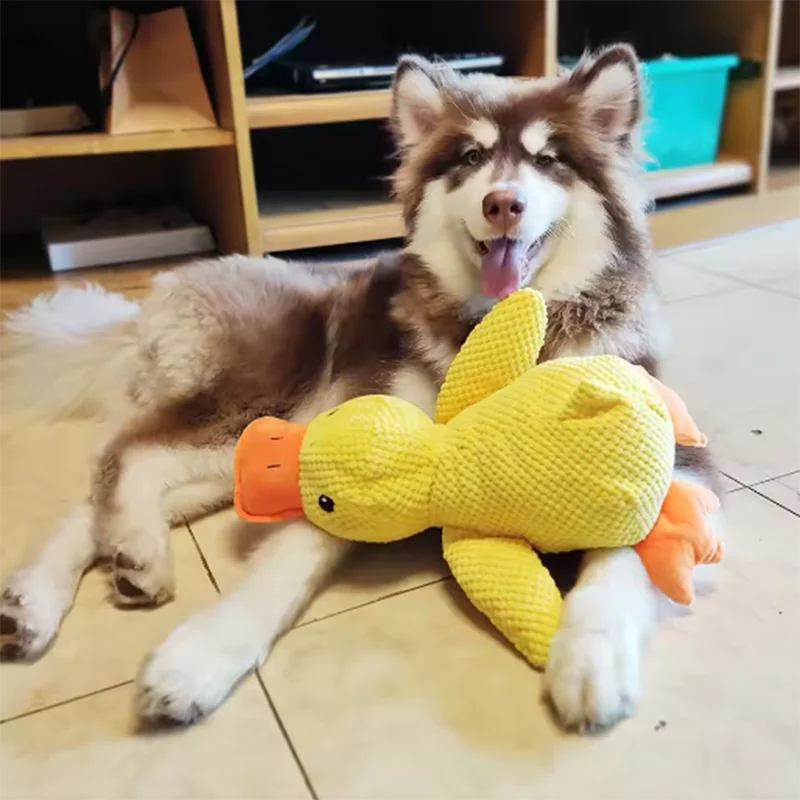 Kuschel Ente für Hunde - Plüschspielzeug zum Kuscheln