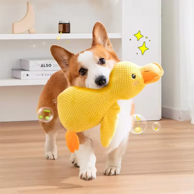 Kuschel Ente für Hunde - Plüschspielzeug zum Kuscheln