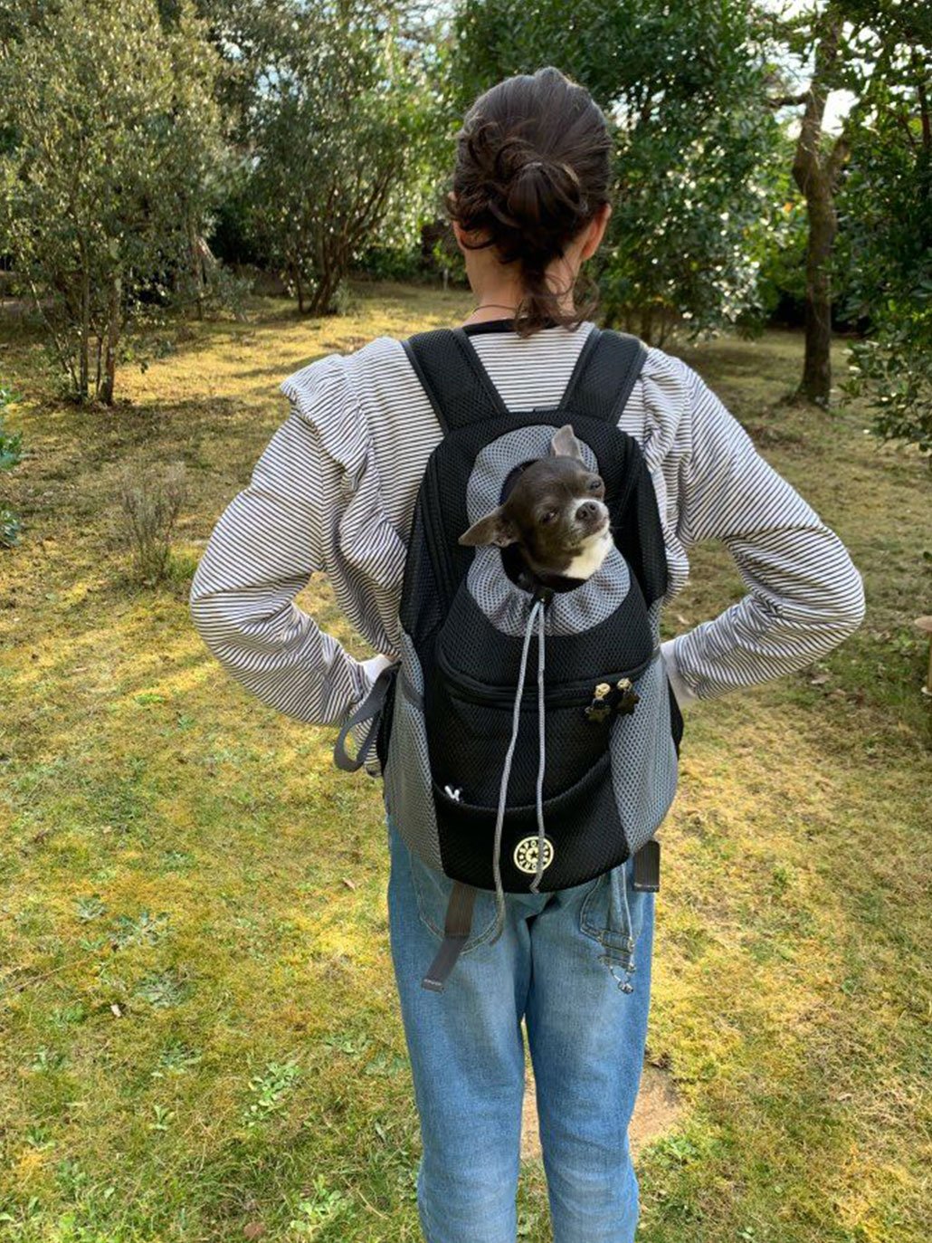 Hunderucksack für kleine Hunde, Ansicht 5
