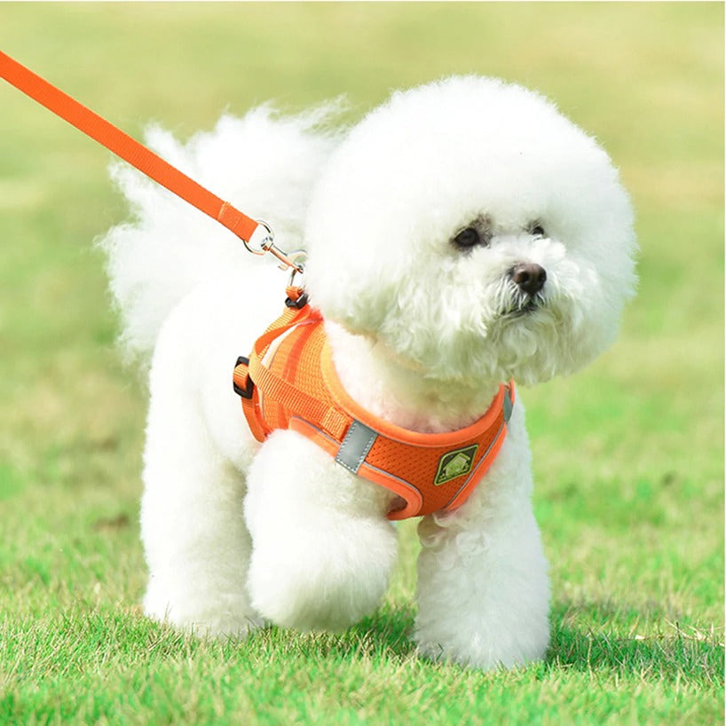 Hundegeschirr mit Leine Set - reflektierendes Brustgeschirr