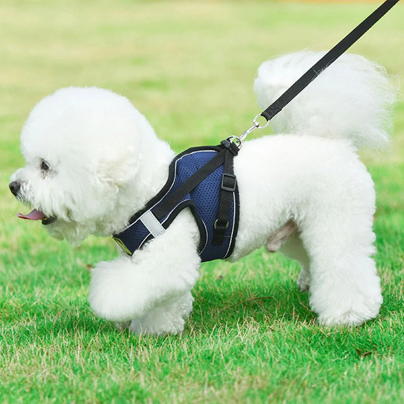 Hundegeschirr mit Leine Set - reflektierendes Brustgeschirr