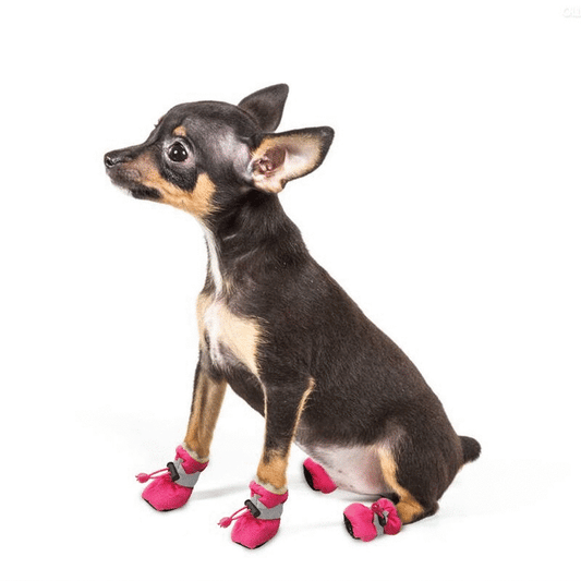Atmungsaktive Hundeschuhe für den Sommer, 4er Set