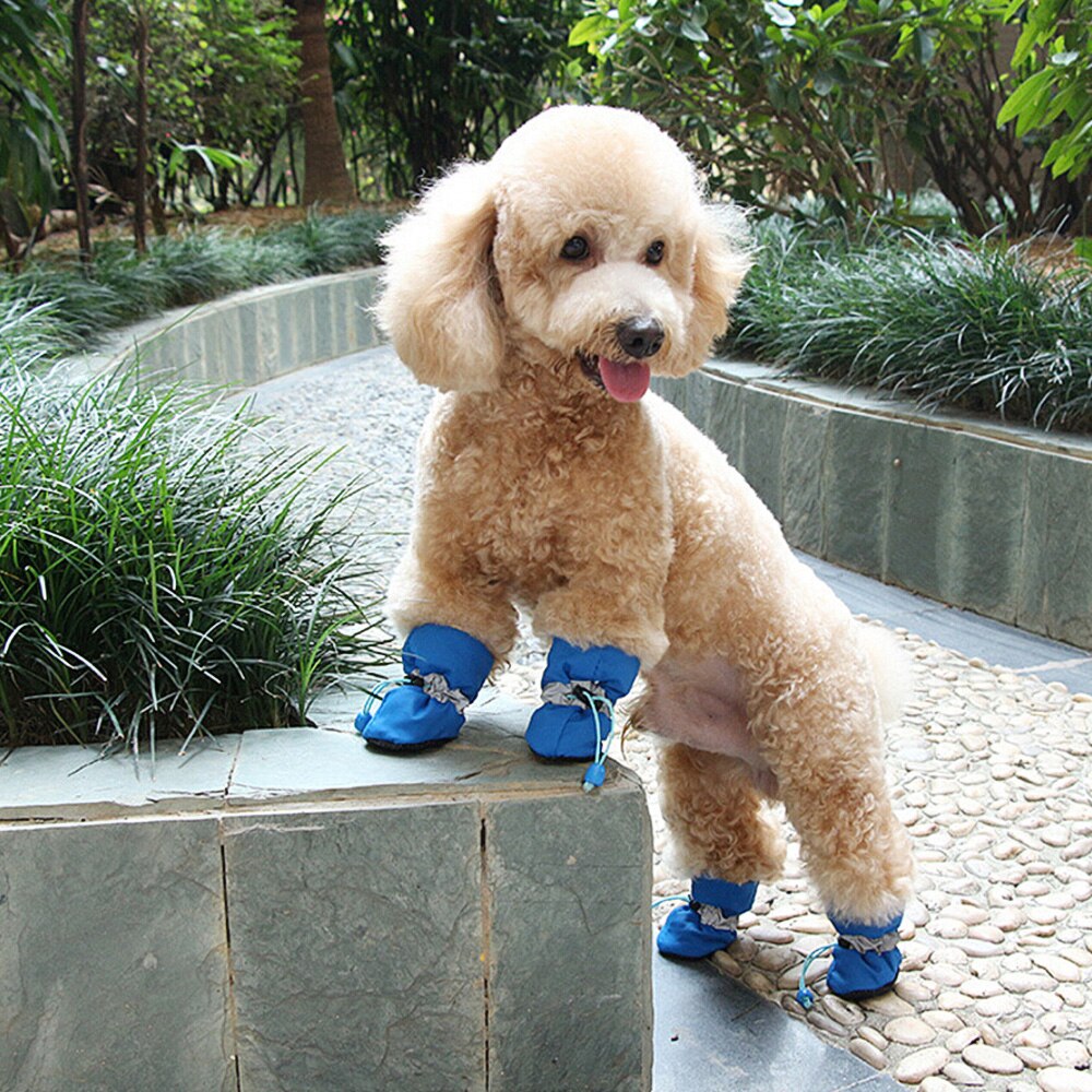 Hundeschuhe als Pfotenschutz, 4er Set