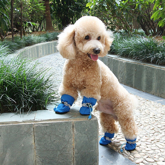Hundeschuhe als Pfotenschutz, 4er Set