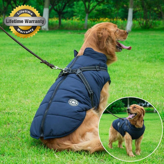 Gefütterter Hundemantel mit Geschirr für den Winter