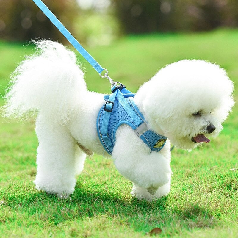 Hundegeschirr mit Leine Set - reflektierendes Brustgeschirr